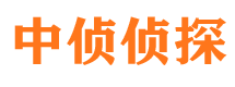 祥云调查公司